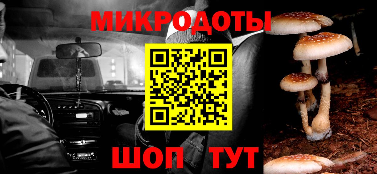 Псилоцибиновые грибы Magic Shrooms  Вход с VPN  Ростов Великий  Псилоцибиновые грибы мицелий 